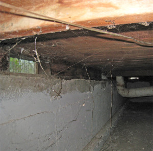 Section of Gacy's elaborate crawl space system used to hide/bury the murdered