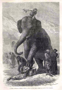 elephant execution