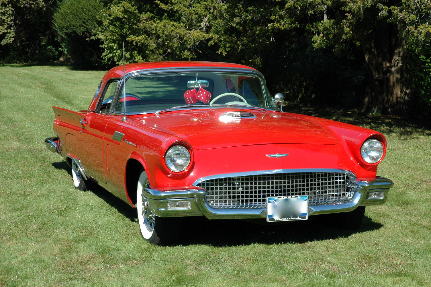 tbird